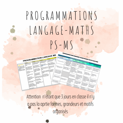 Programmations PS-MS