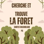 Cartes de vocabulaire cherche et trouve