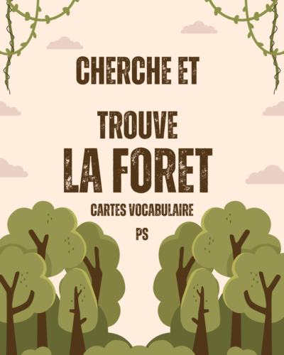 Cartes de vocabulaire cherche et trouve